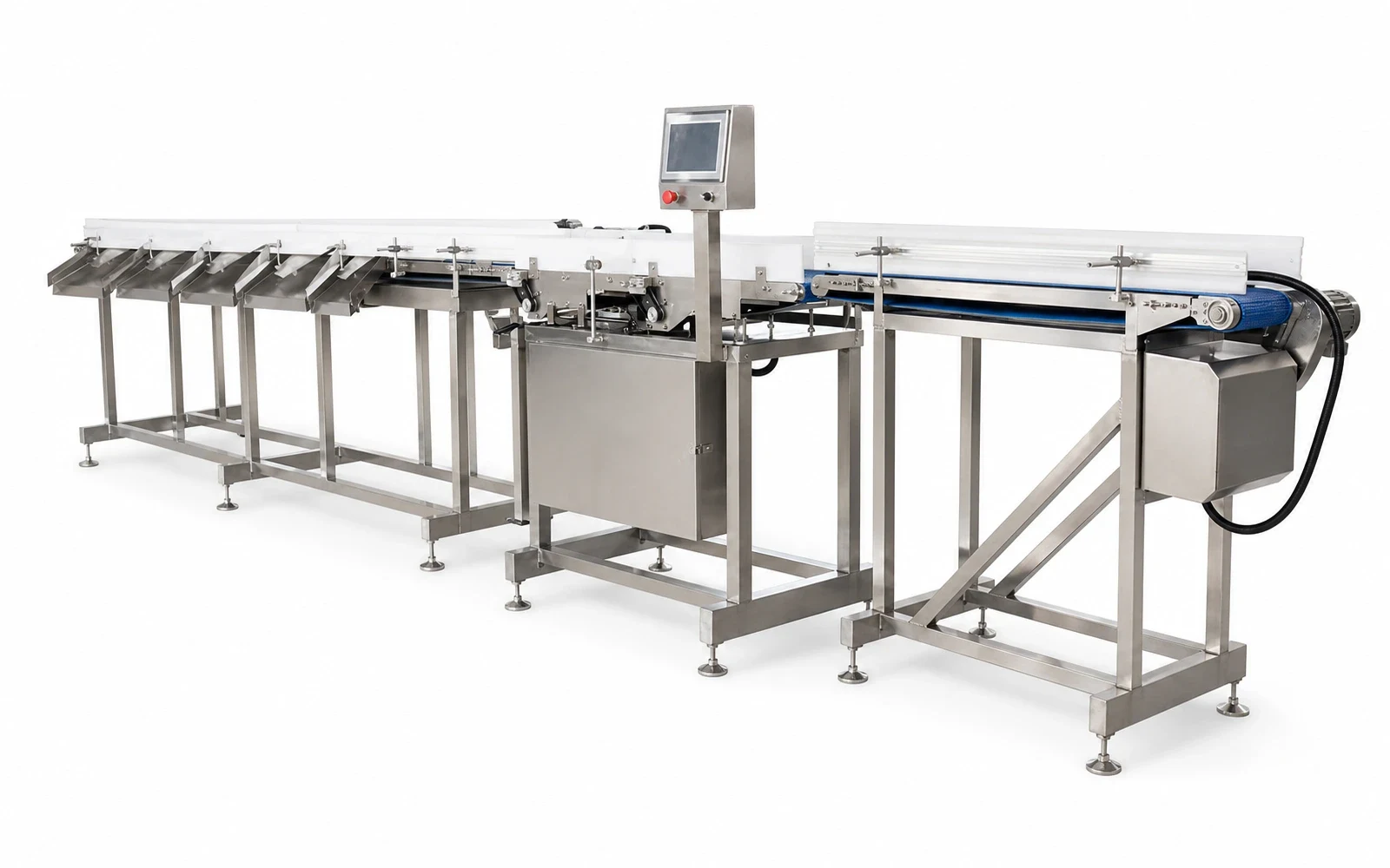 Whole Poultry Dynamic Weight Sorter