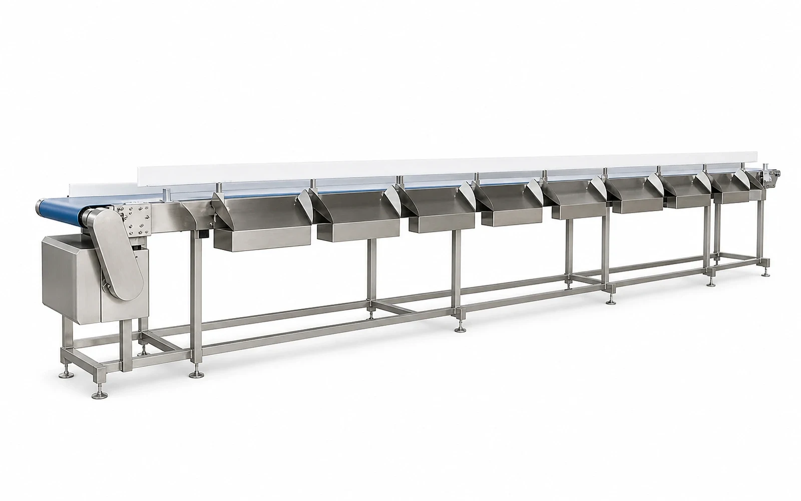 Whole Poultry Dynamic Weight Sorter - view 2